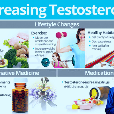 Increasing Testosterone Levels | SheCares